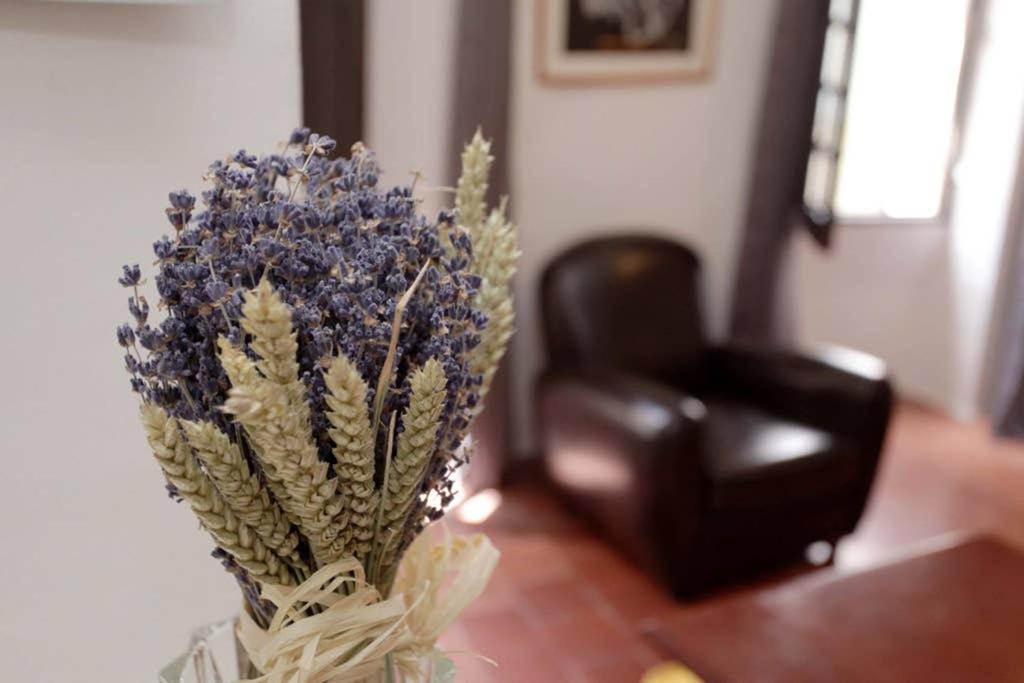 Maison Pittorresque St Paul De Vence سان بول دي فينس المظهر الخارجي الصورة